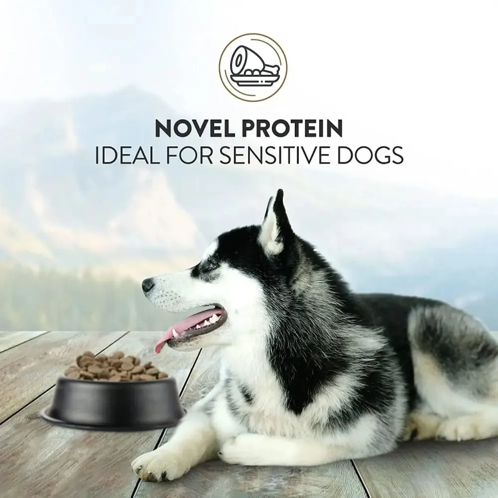 Addiction Viva La Venison Grain Free Dry Dog Food