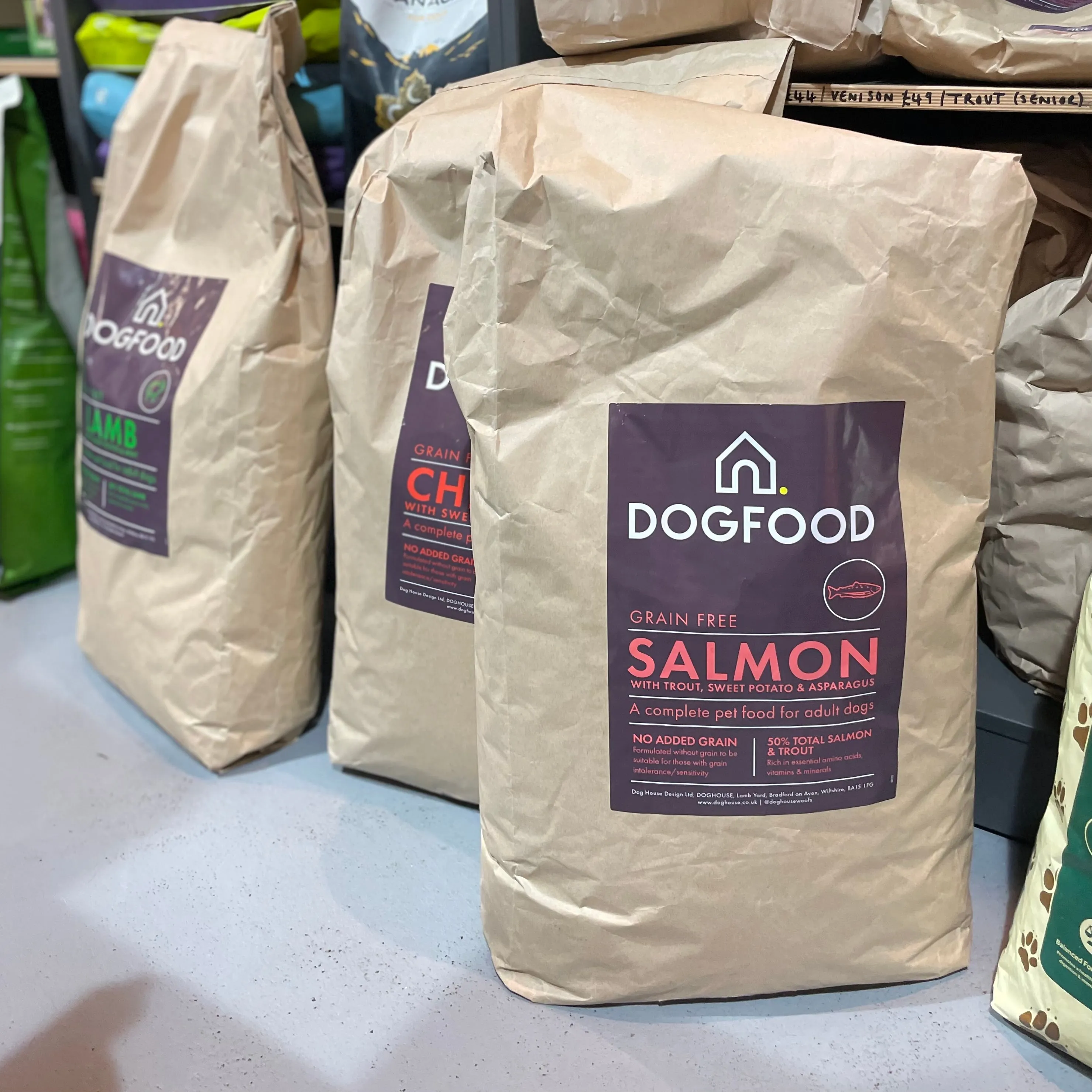 DOGFOOD Grain Free Salmon for Adult Dogs