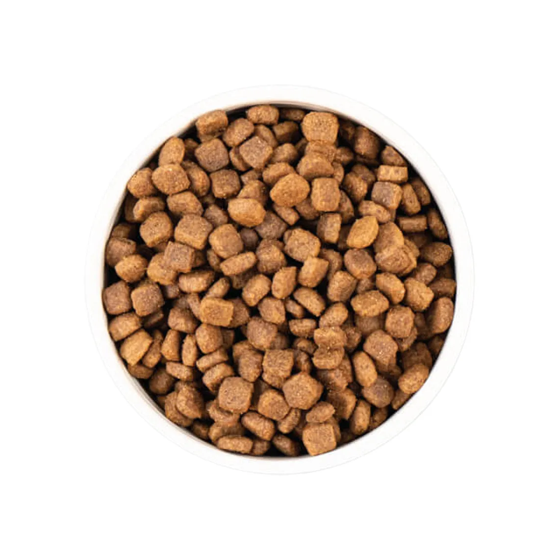 Earthborn Holistic Grain-Free Natural  Dry Dog Food