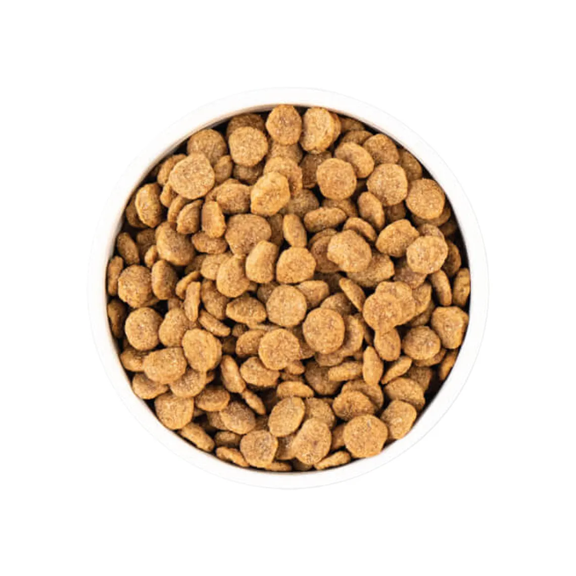 Earthborn Holistic Grain-Free Natural  Dry Dog Food