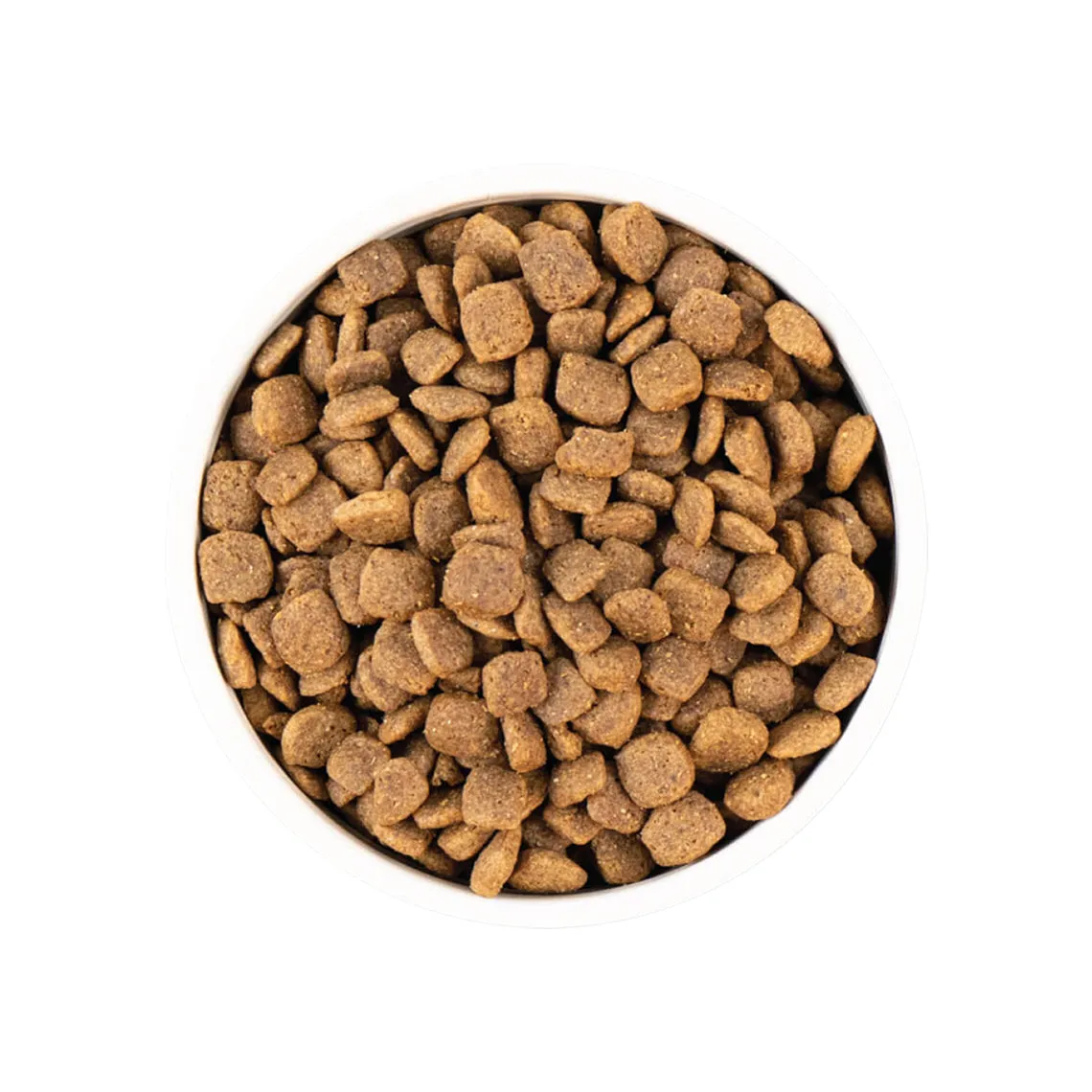 Earthborn Holistic Grain-Free Natural  Dry Dog Food