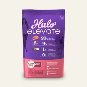 Elevate Healthy Grains Salmon Recipe Adult Dry Dog Food