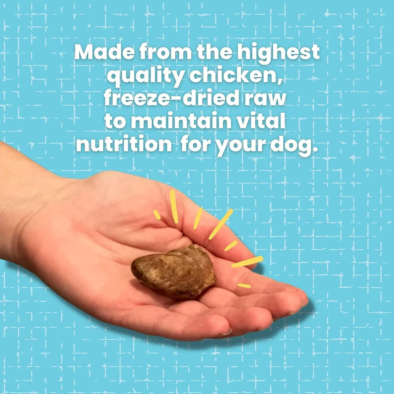 Freeze Dried Chicken Hearts for Dogs & Cats