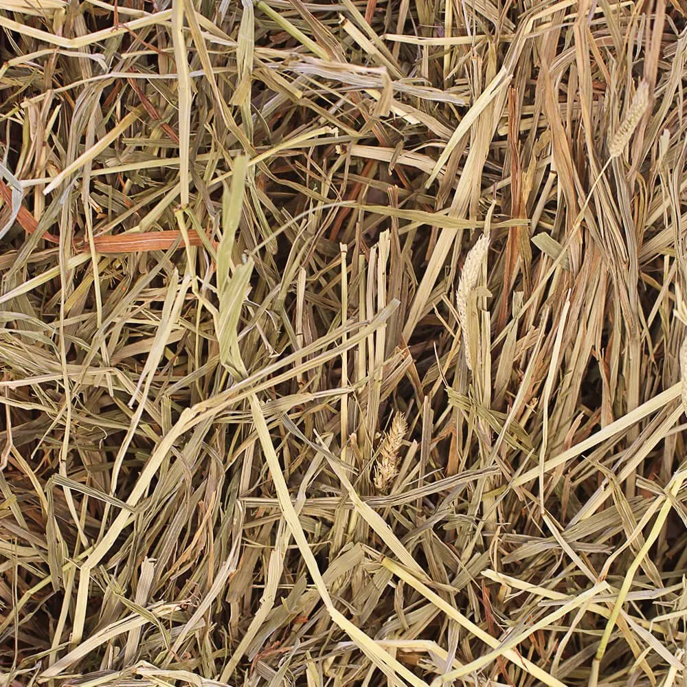 Grandpa's Best Timothy Loose Boxed Hay