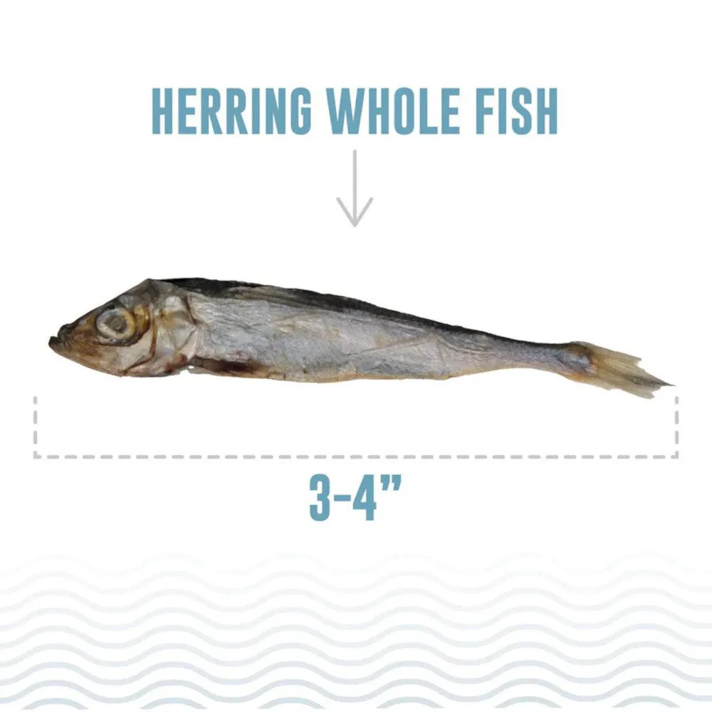 Herring Whole Fish Dog Treats