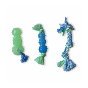 Mini Dentachew Dog Chew Toy - 3 Pack