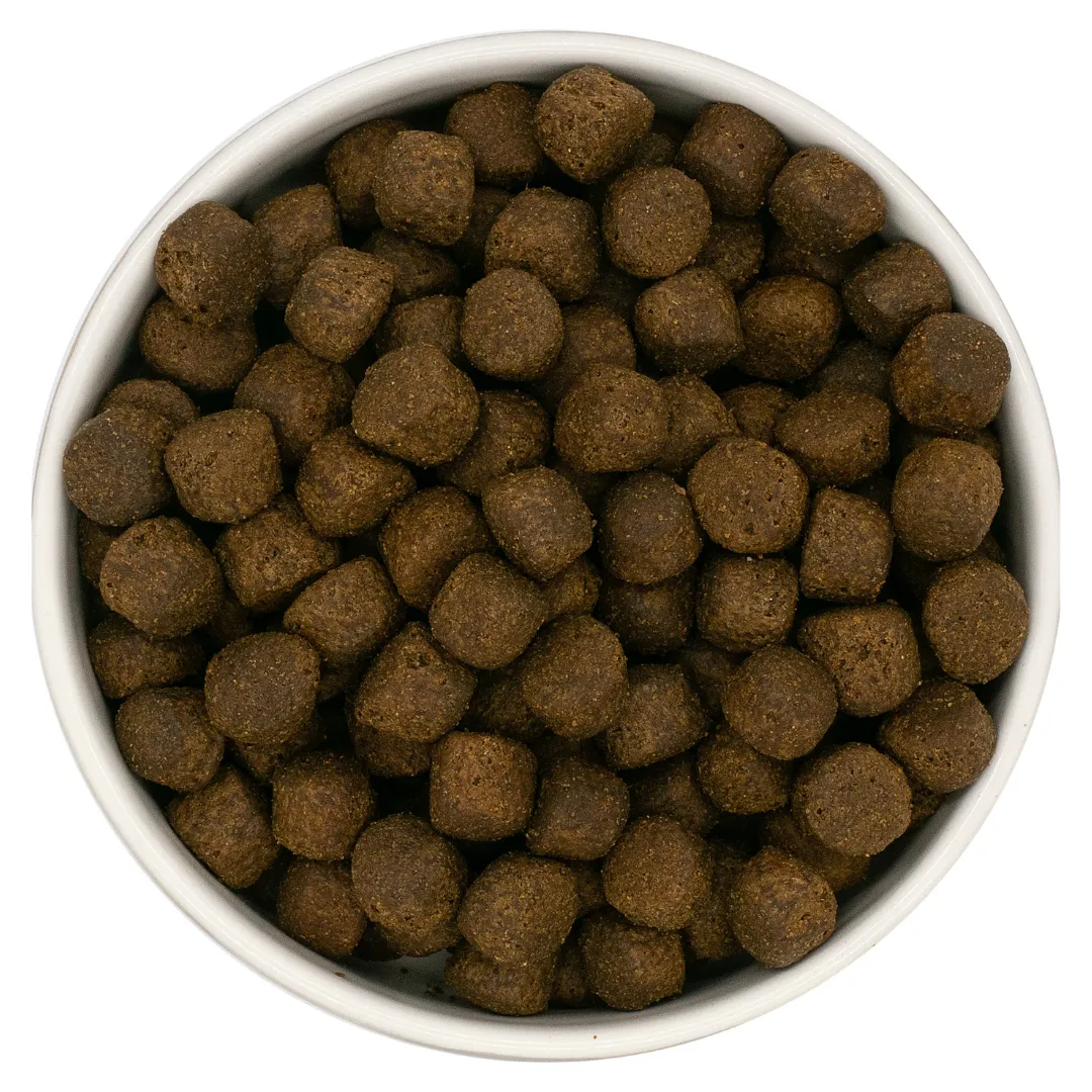 Nourish Rite Grain Free Large Breed Puppy Food -  Salmon