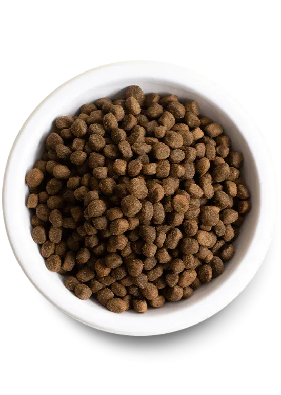 Open Farm - Grain Free Catch of the Season Whitefish - Dry Dog Food