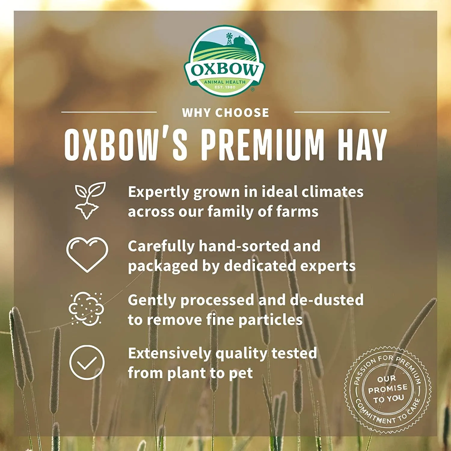 Oxbow Oat Hay