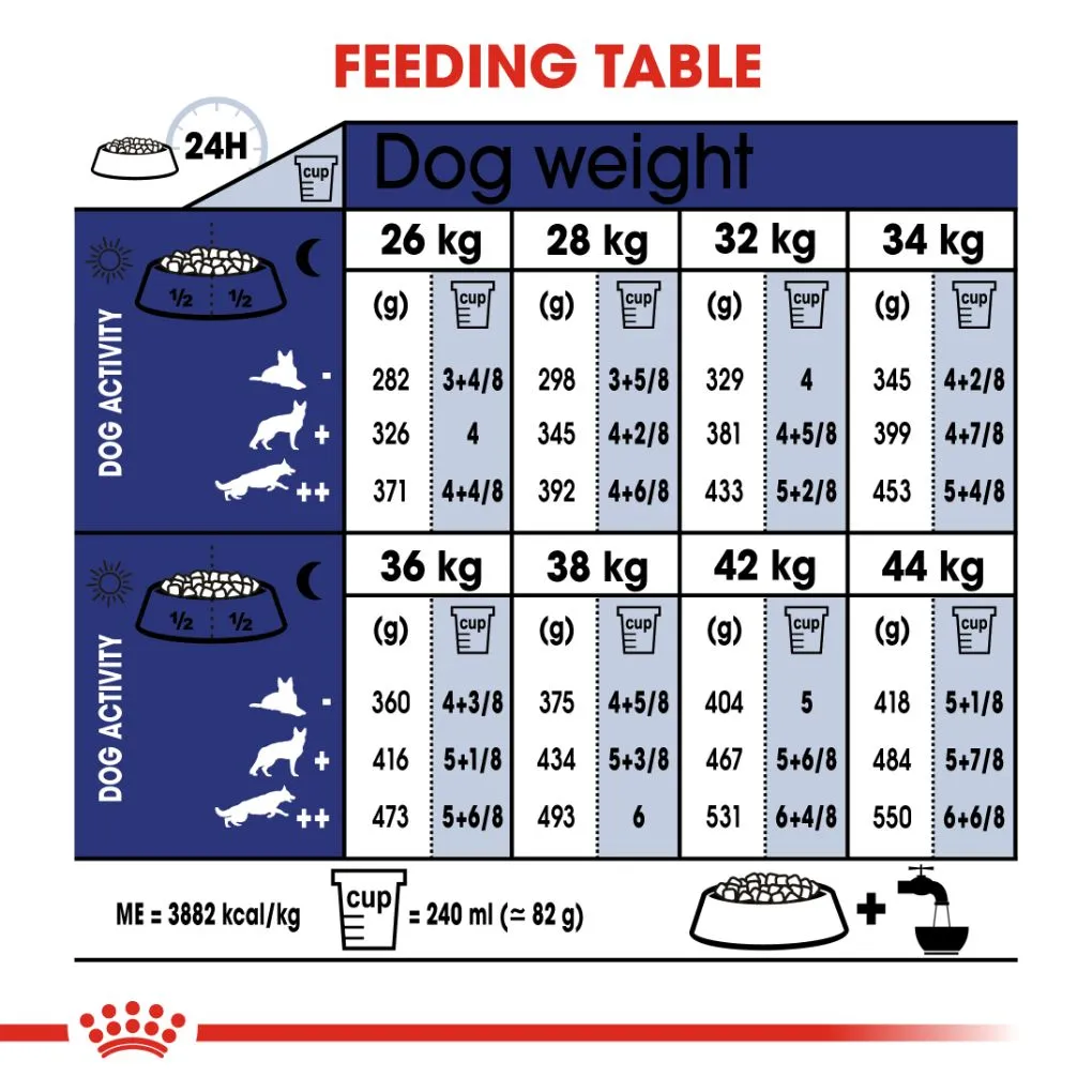 Royal Canin Maxi Ageing 8  15kg