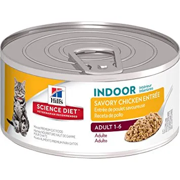 Science Diet Indoor Cat Savory Chicken Entree Wet Cat Food