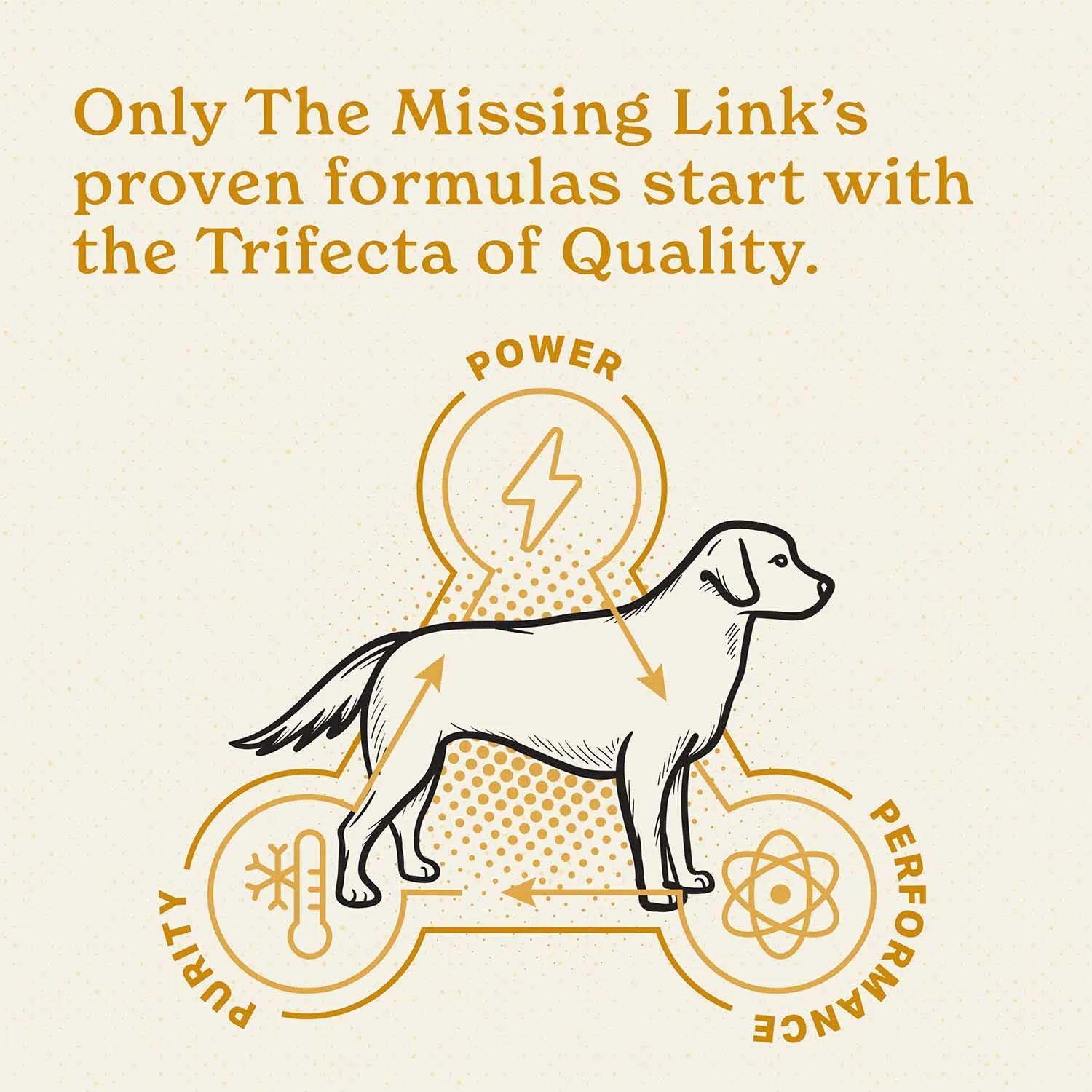 The Missing Link Ultimate Skin & Coat