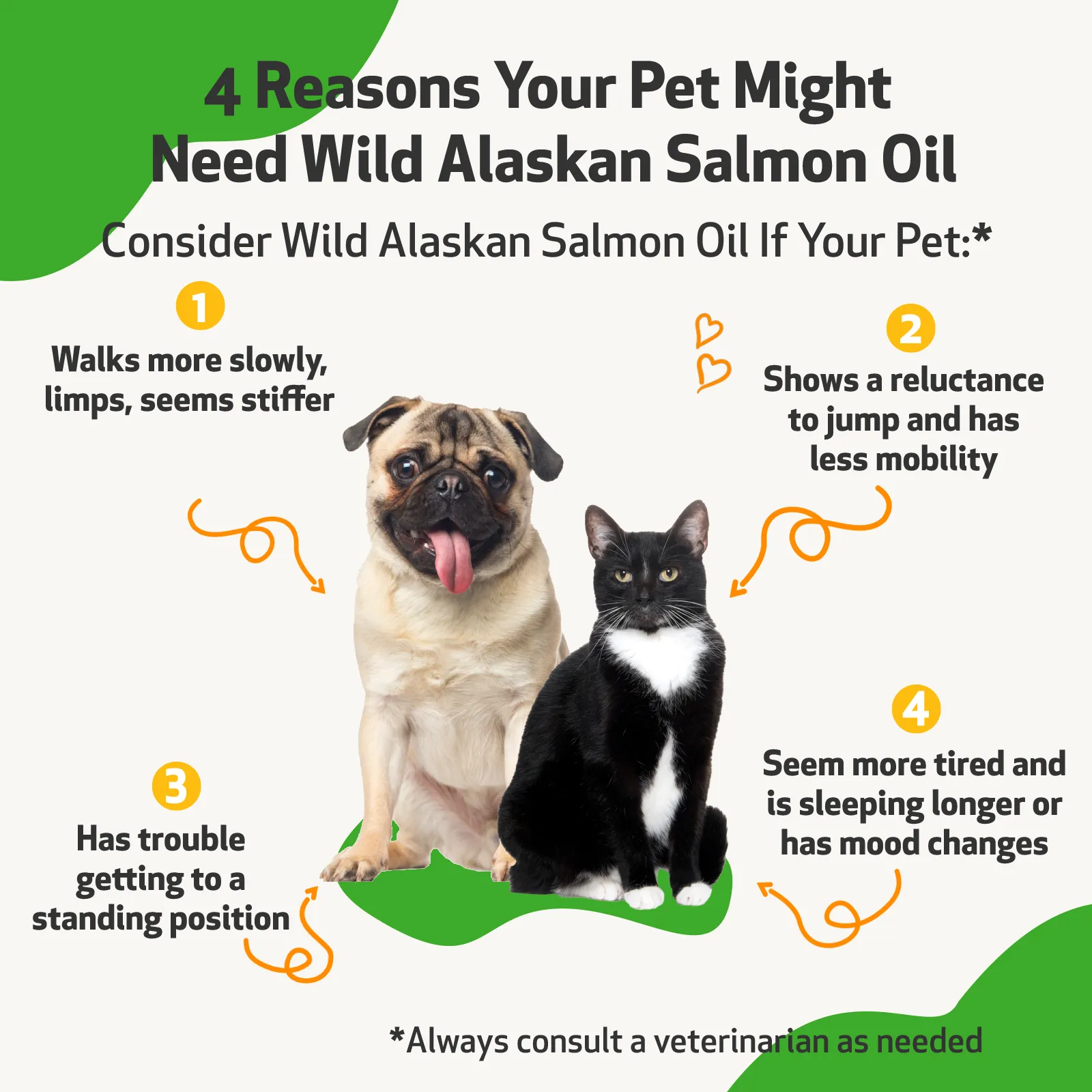 Wild Alaskan Salmon Oil