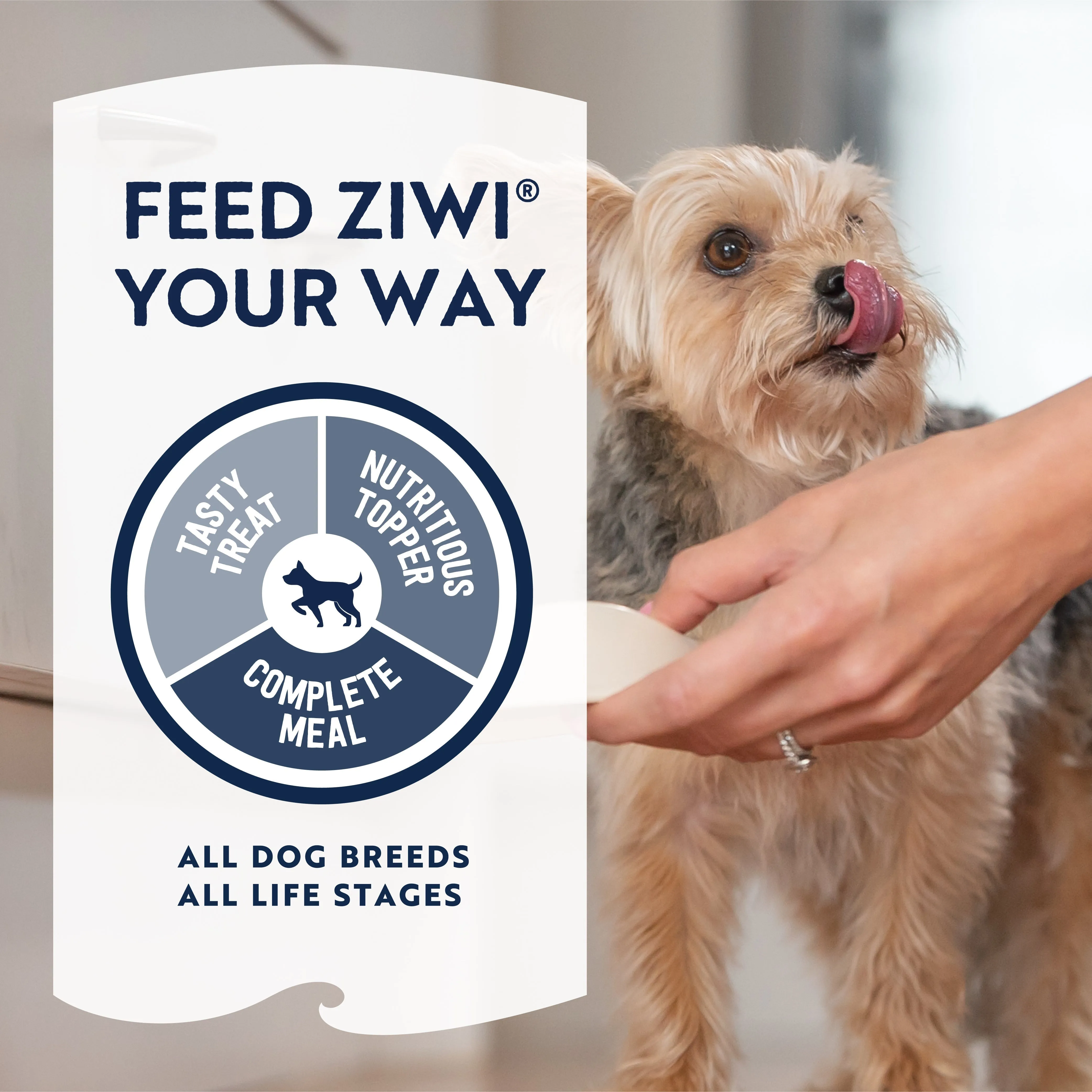 ZIWI Peak Air Dried Venison Recipe Dog Food 2.5kg